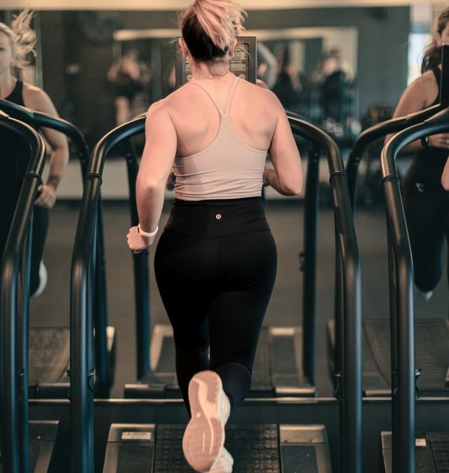 Relearn to Run